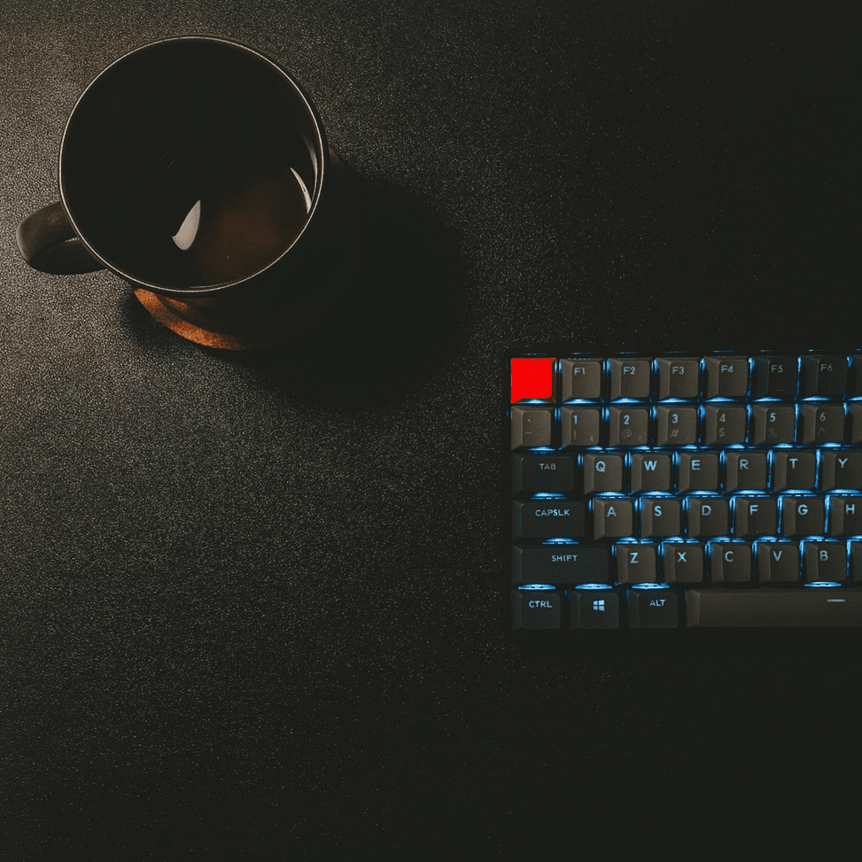 A professional reading the top 10 key skills to stand out in the job market.